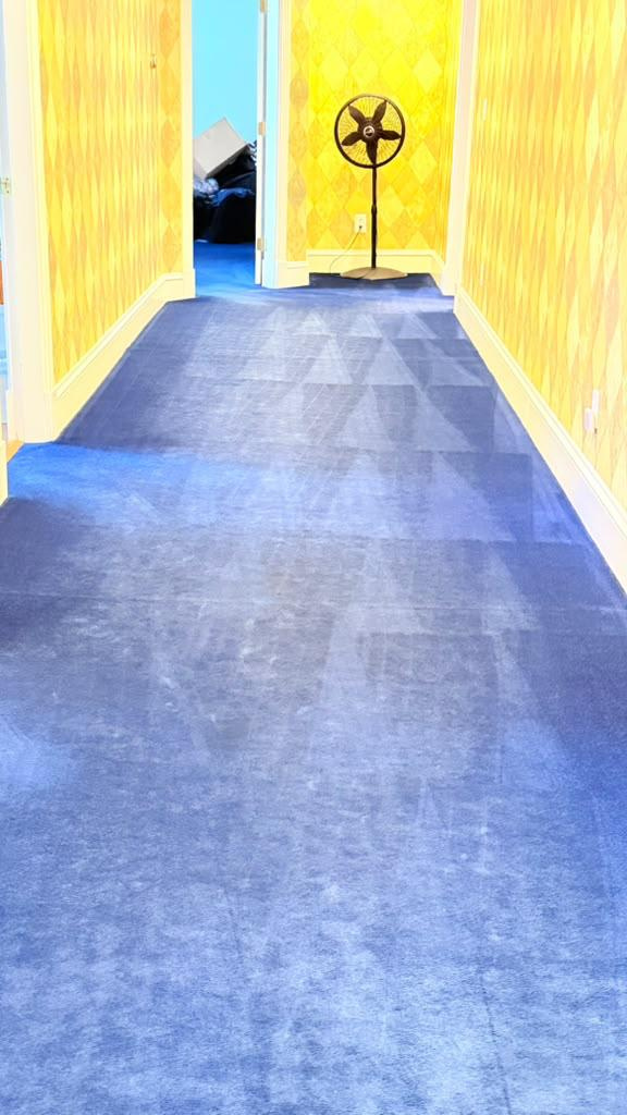 Blue hallway cleaned and restored to a brighter, more polished finish